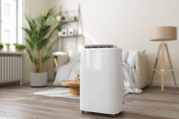 Best Air Filters and Purifiers in Pleasant Valley, MO